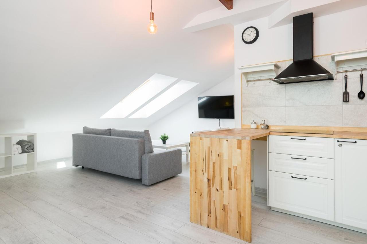 קרקוב Apartment Alexander מראה חיצוני תמונה